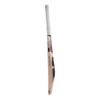 SG Sunny Tonny Icon Cricket Bat