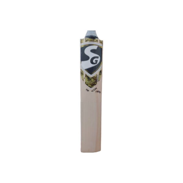 SG HP Icon Cricket Bat