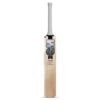 GM Cricket Bat Icon Striker