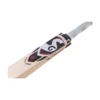 SG Profile Xtreme Bat