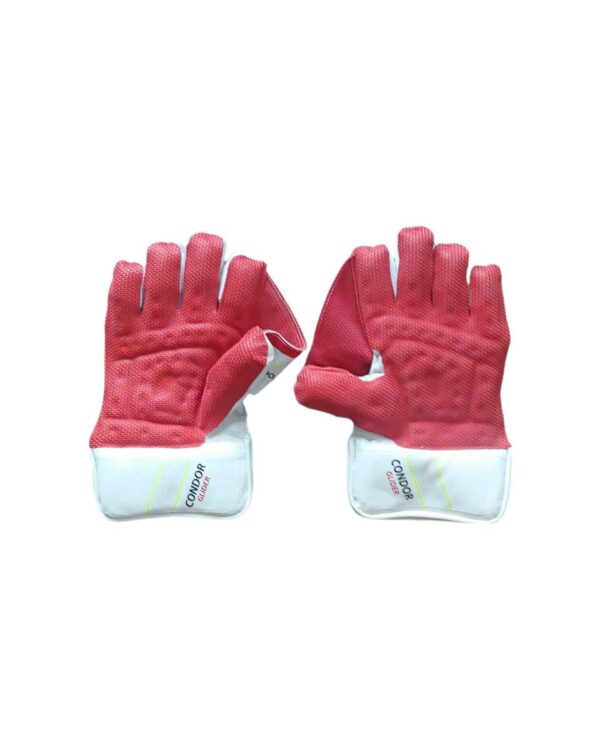 DSC Condor Glider Junior Wicket Keeping Gloves