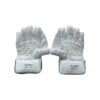 SS Platino Wicket Keeping Gloves