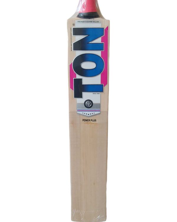 TON Power Plus Kashmir Willow Cricket Bat