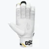DSC Intense Valor Batting Gloves 2025 Edition