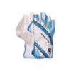 sg league junior wicket keeping gloves