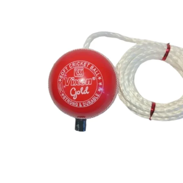 Vixen PVC Gold Ball with Rope