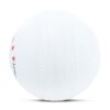 Plastic Cricket Ball 80g