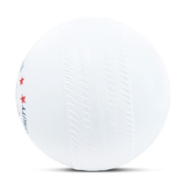 Plastic Cricket Ball 80g