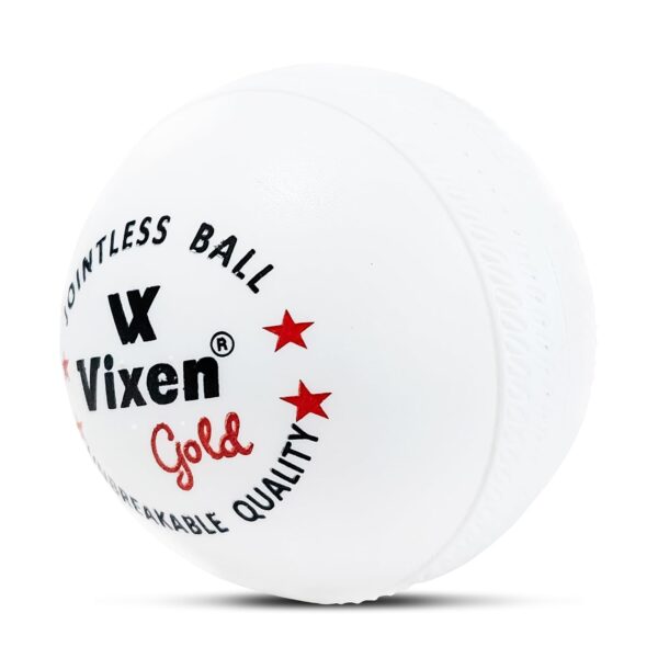 Plastic Cricket Ball 80g