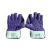 SS Platino Wicket Keeping Gloves