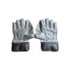 SS Academy Wicket Keeping Gloves
