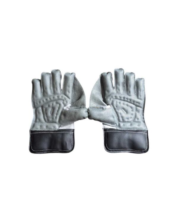 SS Academy Wicket Keeping Gloves