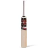 SS Sooryavanshi 2.0 Junior Cricket Bat