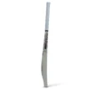 SS Sooryavanshi 2.0 Junior Cricket Bat