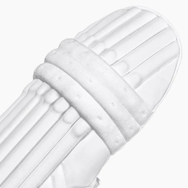 DSC Xlite LE Batting Pads