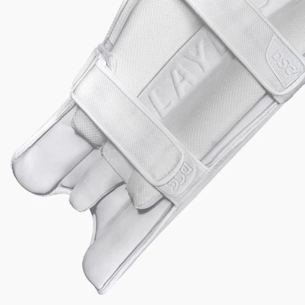 DSC Xlite LE Batting Pads