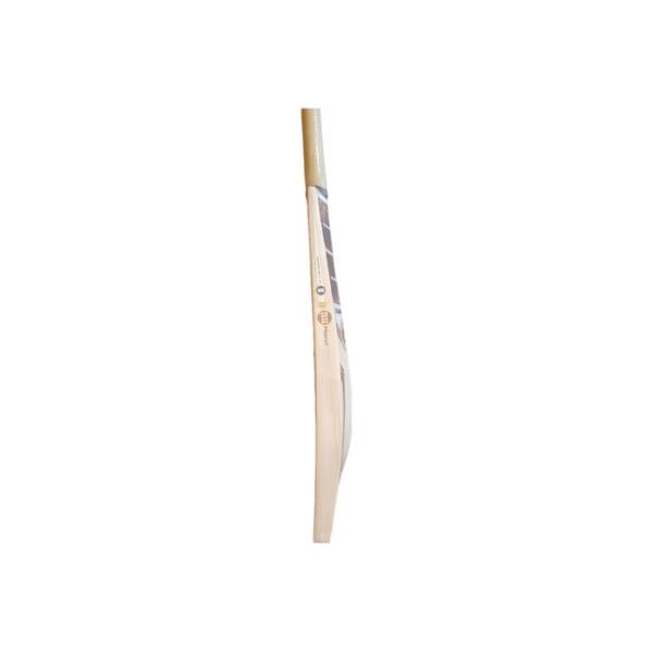 SS Super Select Cricket Bat
